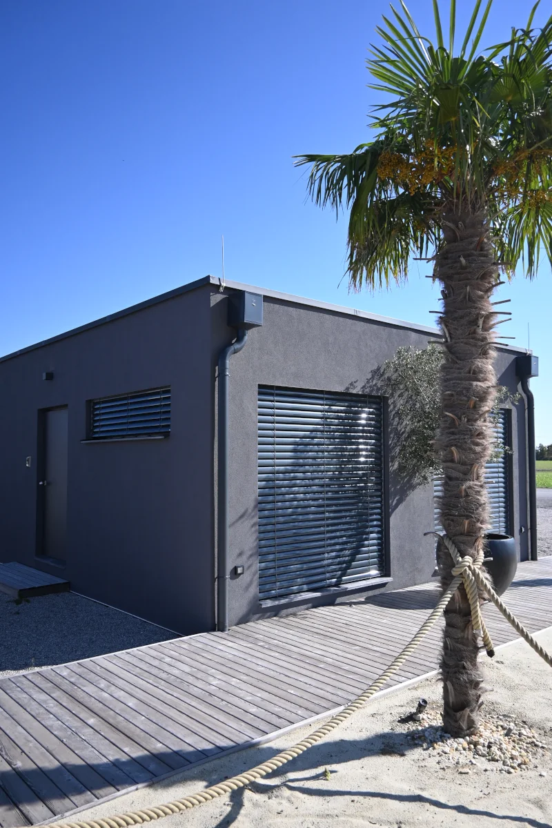 A bungalow behind a palm tree