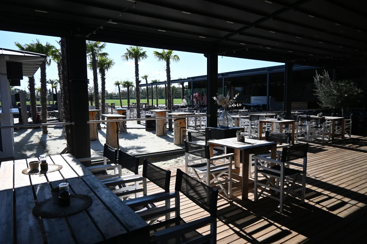 Chairs and tables at the beach cafe, with palm trees in the background